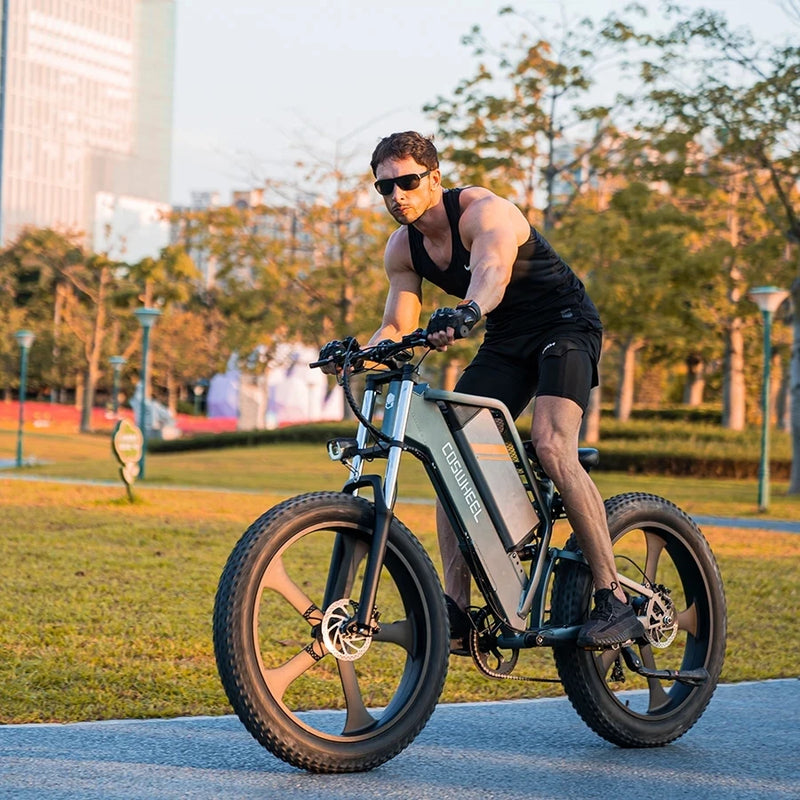 Electric Bike Off Road Mountain