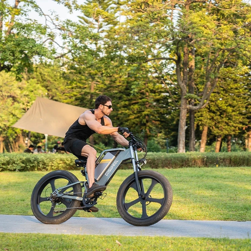 Electric Bike Off Road Mountain