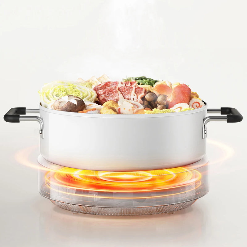 Electric Induction Cooker